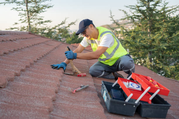 Best Roof Waterproofing Services  in Madison, OH